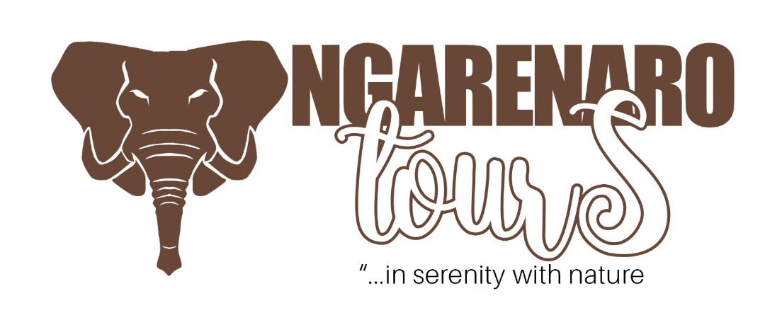 Ngarenaro tours