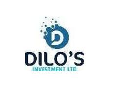 Dilo Investment